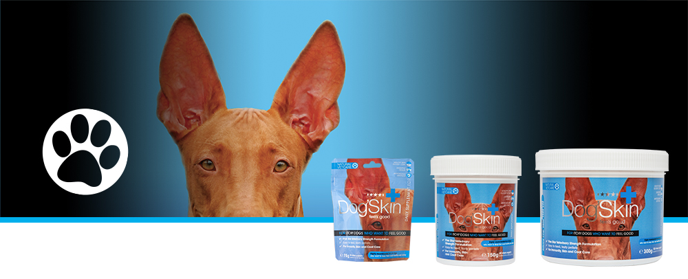 Veterinary strength nutritional support for itchy sensitive skin.