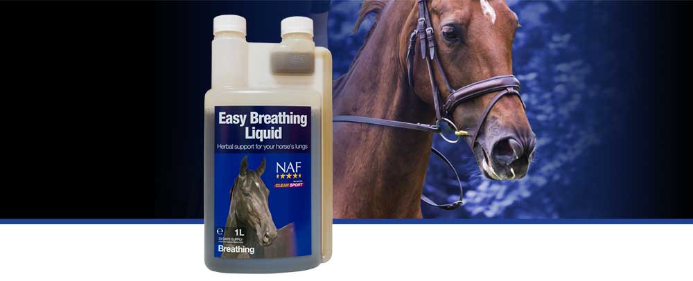 Natural herbal support for healthy lungs and respiratory system