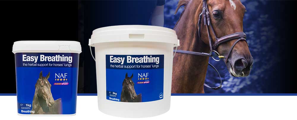 Natural herbal support for healthy lungs and respiratory system