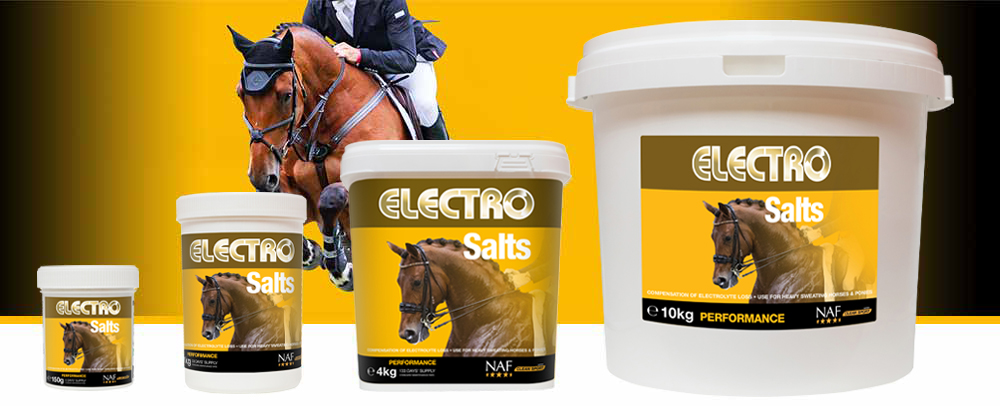 Concentrated formula to replace body salts lost during heavy work or extreme heat