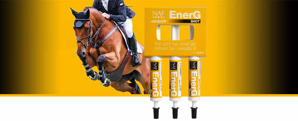 Instant use, for fast release energy, with concentrated amino acids.