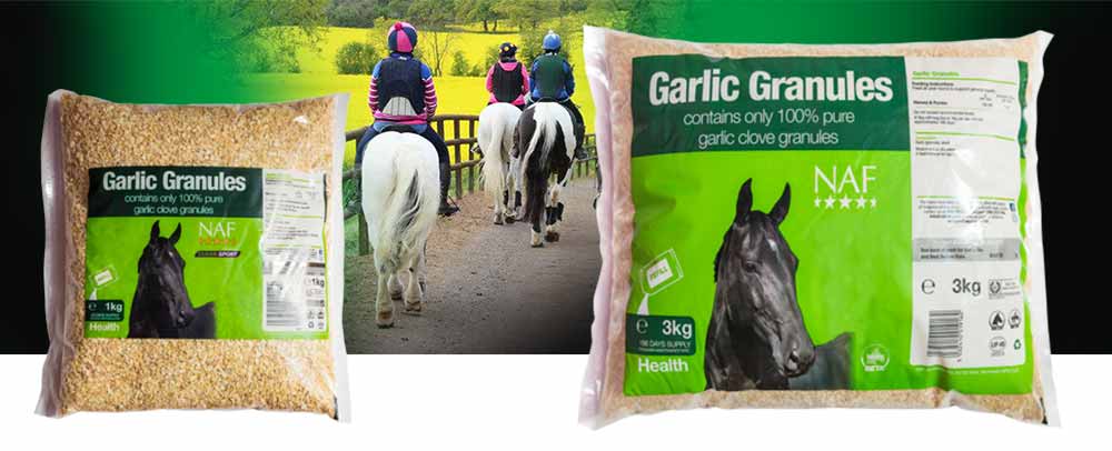 100% pure garlic to support the immune system