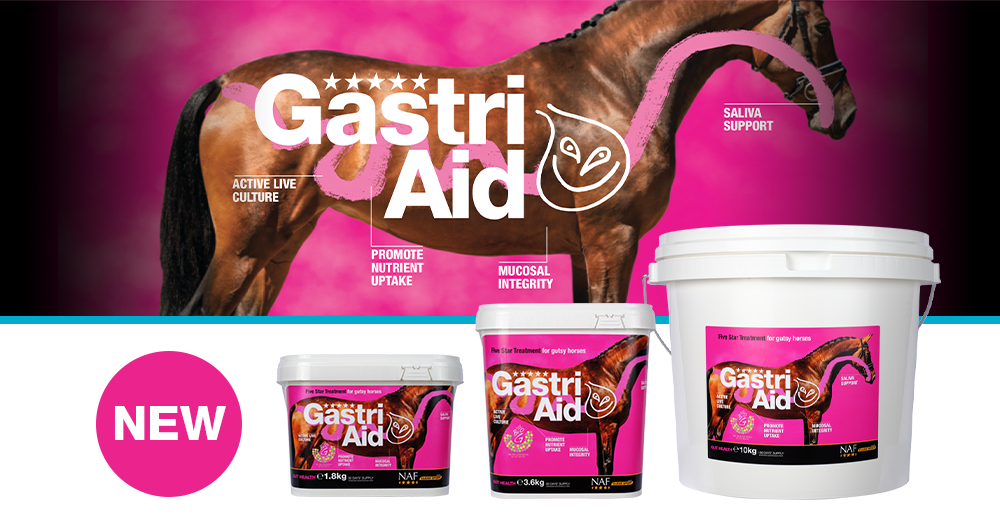 The must have daily supplement for total gut health.