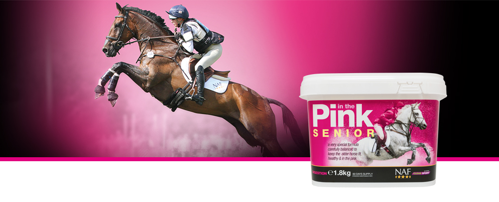 Specially formulated to meet the nutritional needs of the older horse