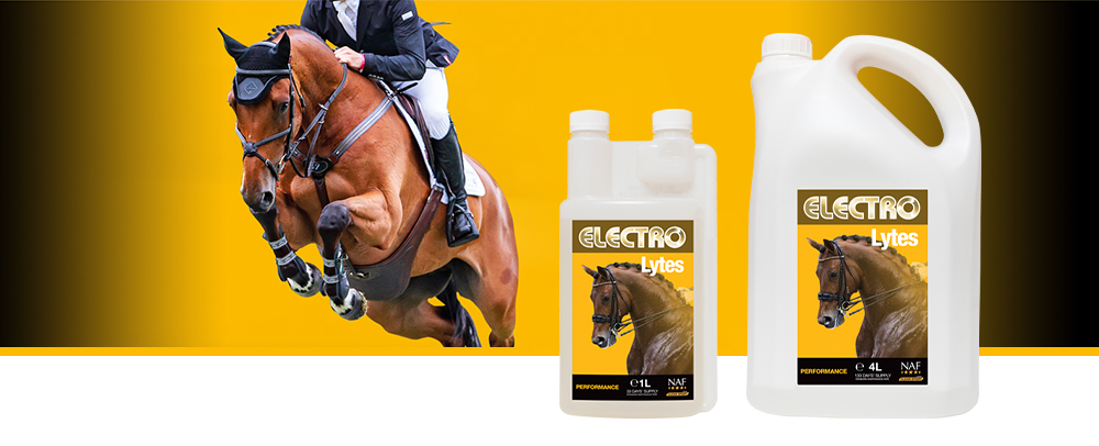 Liquid electrolytes to replace essential body salts lost through exercise or sweating