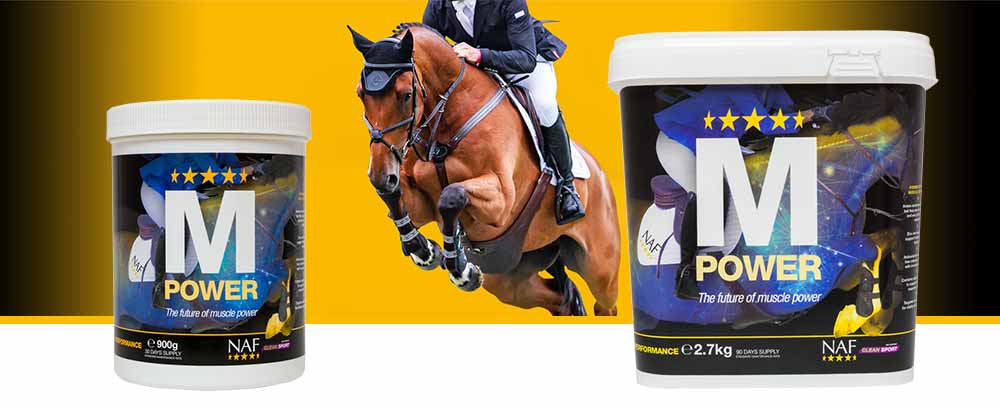 Leading edge nutritional formula to support the natural, healthy development of muscle
