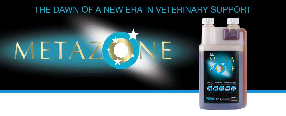 Formulated to support the anti-inflammatory process