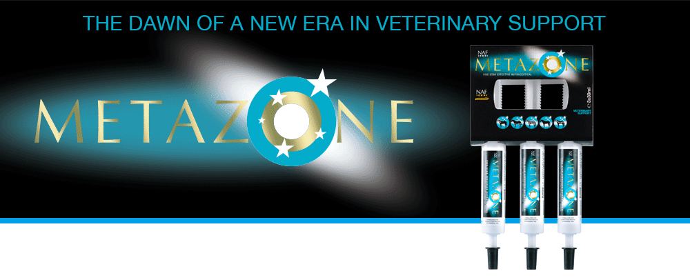 Formulated to support the anti-inflammatory process