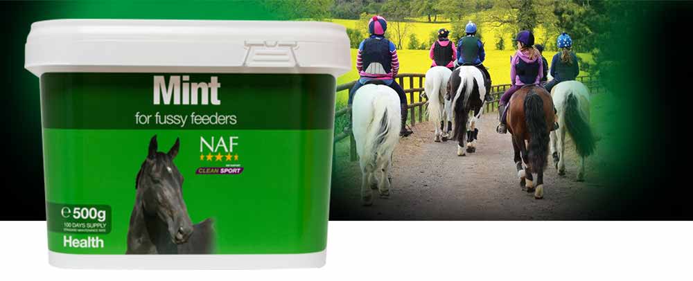 100% pure to encourage appetite