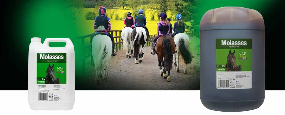 Premium grade, un-sulphured molasses to encourage fussy feeders
