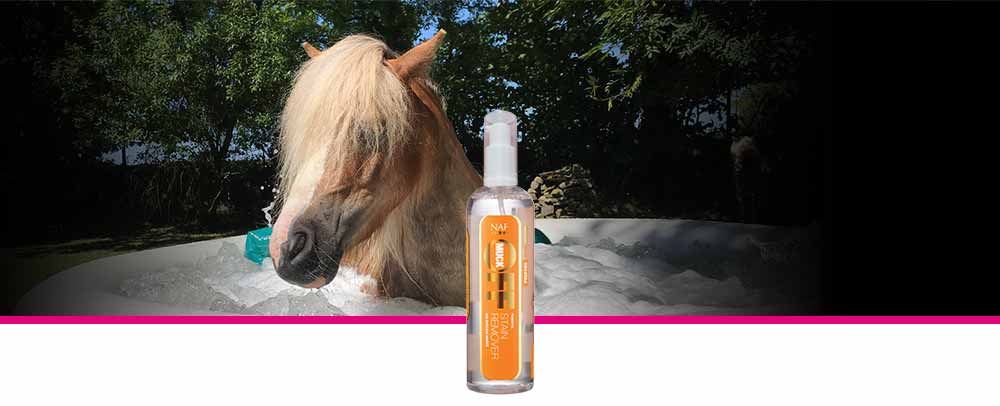 Powerful stain remover to clean up grass and stable stains