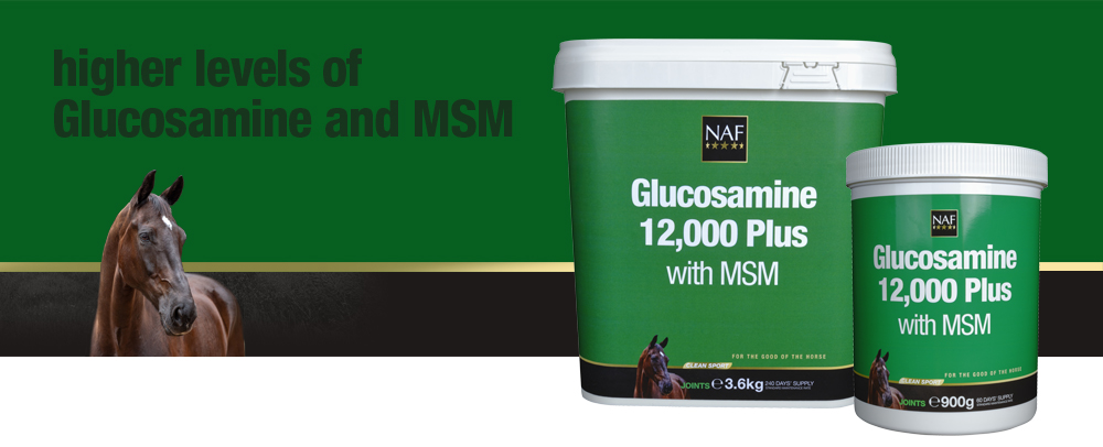 For everyday maintenance of joints