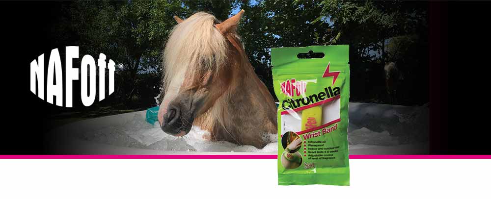 Silicone wristband with citronella to wear during the summer