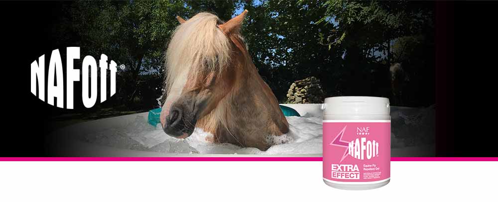 Natural fly repellent gel