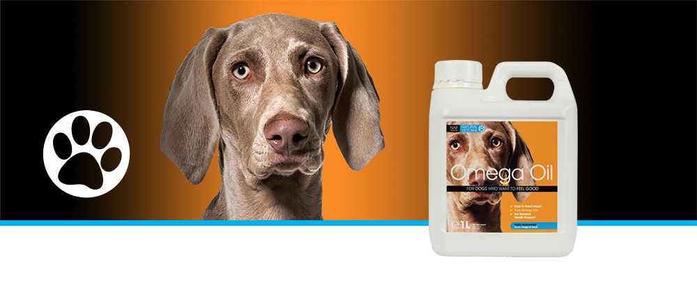 A blend of natural oils rich in Omega 3 and 6 fatty acids.