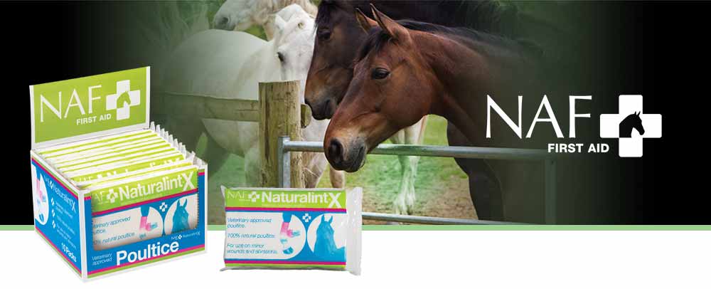 Highly absorbent multi layered dressing for to support the healing of wounds