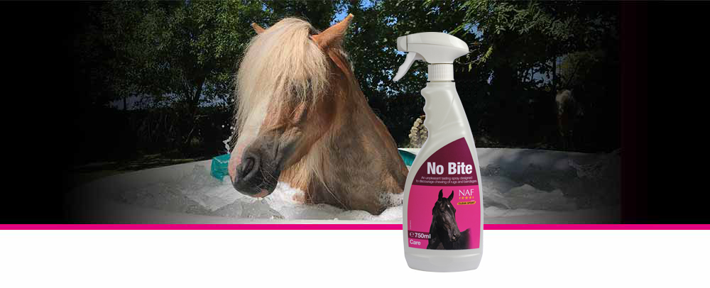 Unpleasant tasting spray to discourage biting of rugs and bandages