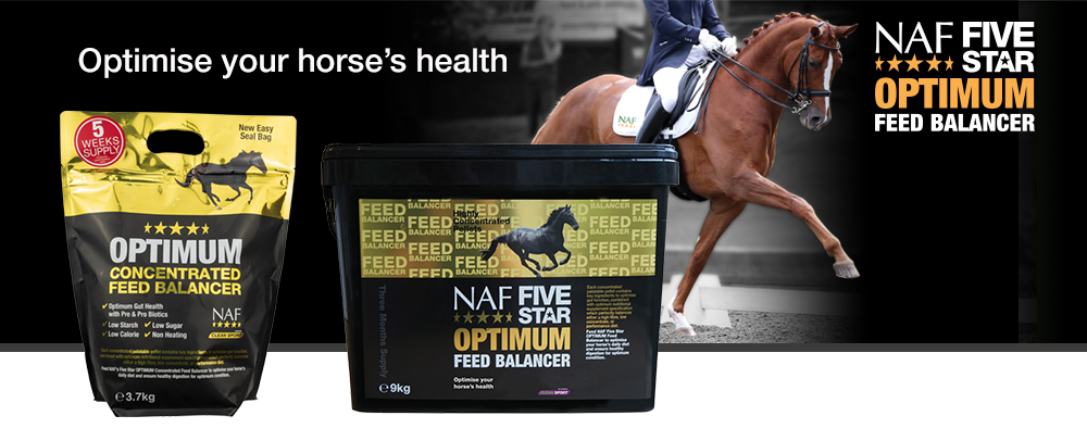 Concentrated, sugar free, high specification feed balancer for every horse