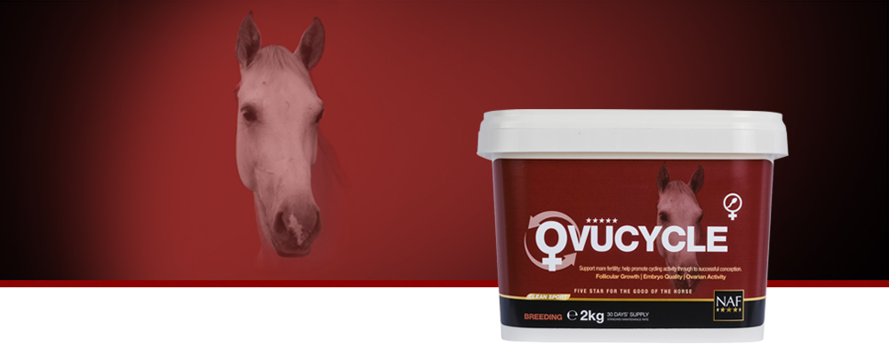 Help her achieve a successful conception this season, formulated for all mares to promote ovarian activity, follicular growth and embryo quality.
