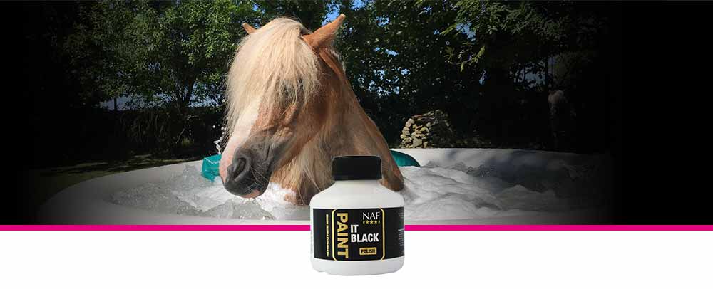 Super shiny quick drying hoof polish for black hooves