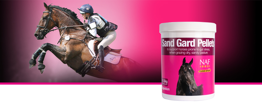 Supports healthy movement throughout the gut to avoid accumulation of excesses