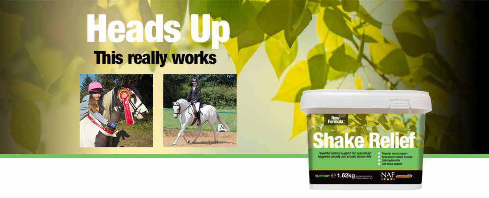 Nutritional support for horses showing signs of seasonal anxiety