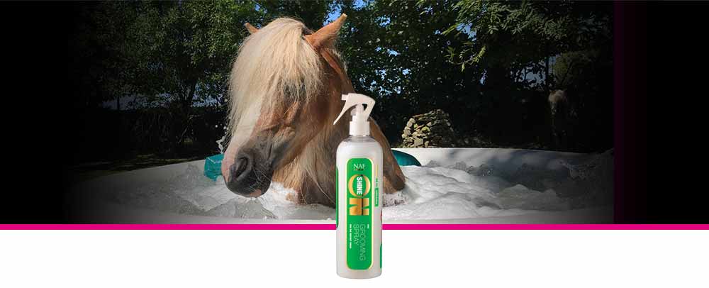 Finishing spray for manes, tails and coats