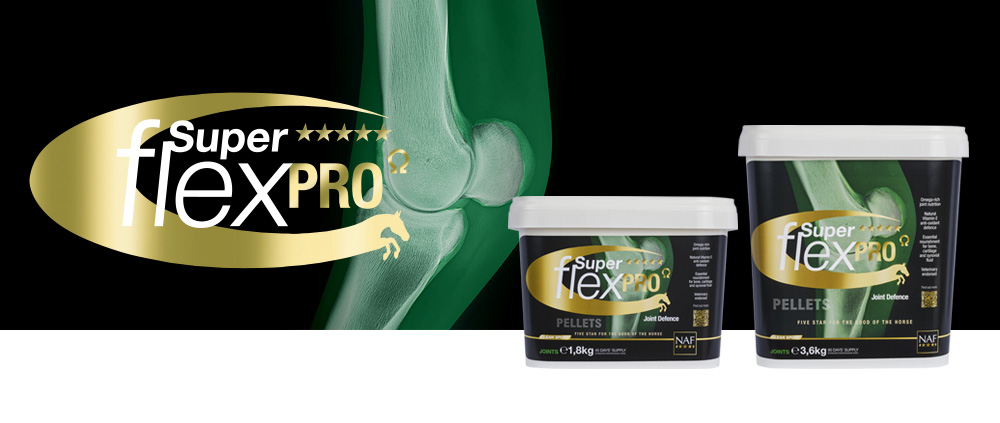Premium joint support for equine athletes. Market leading levels of key nutrients in a unique synergistic blend. Easy feed, palatable pellets. Vegan formula.