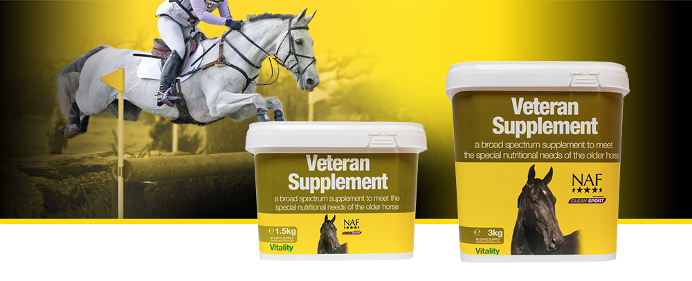 Formulated specifically to meet the needs of the older horse and pony