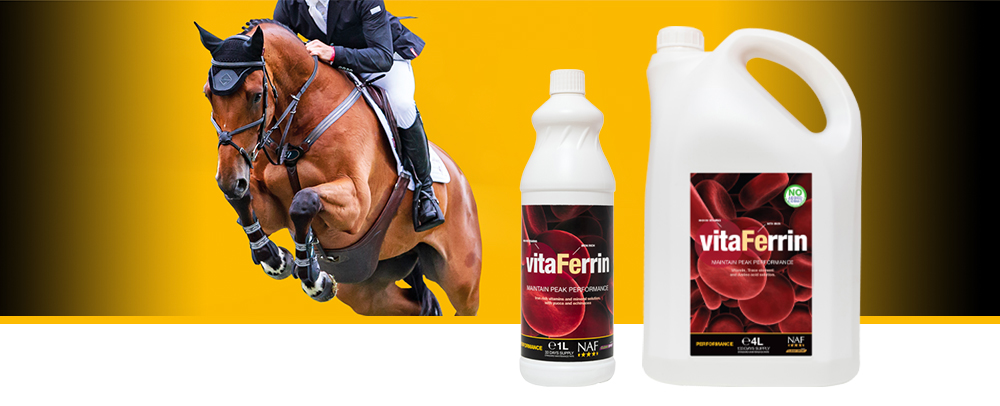 Highly palatable vitamin and mineral solution