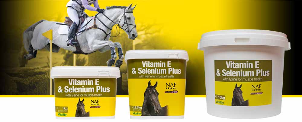 Formulated to support healthy muscle function, fitness and reproductive efficiency