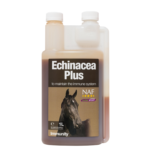 Echinacea Plus