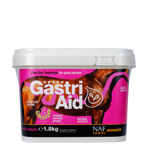 GastriAid