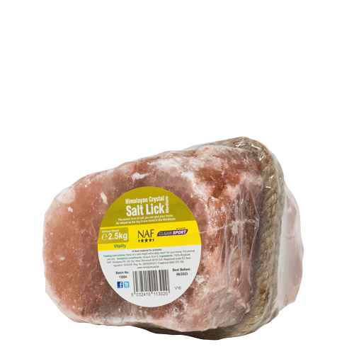 Himalayan Salt Licks