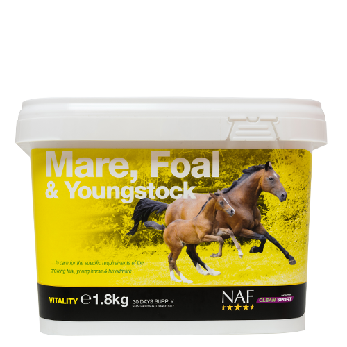 Mare Foal & Youngstock