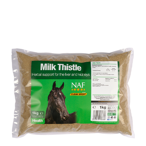 Milk Thistle