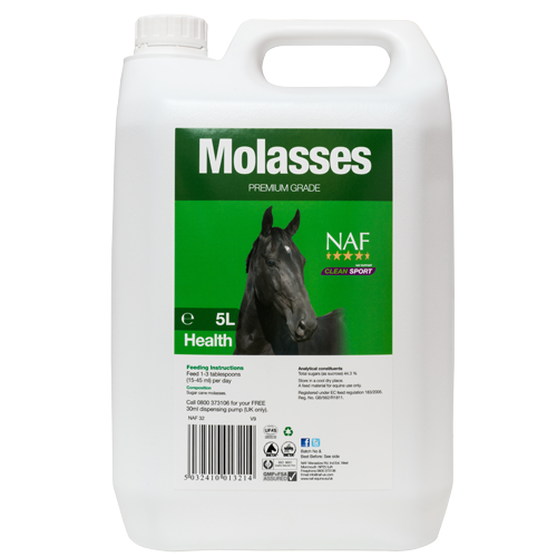 Molasses
