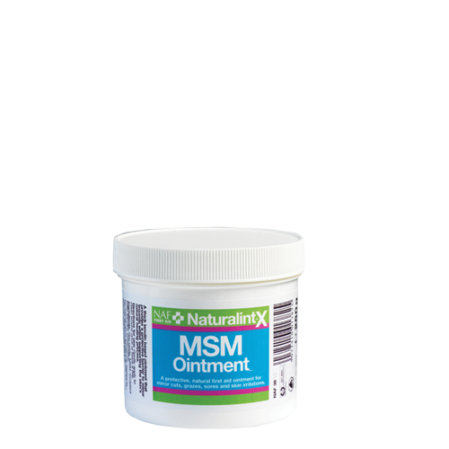 MSM Ointment