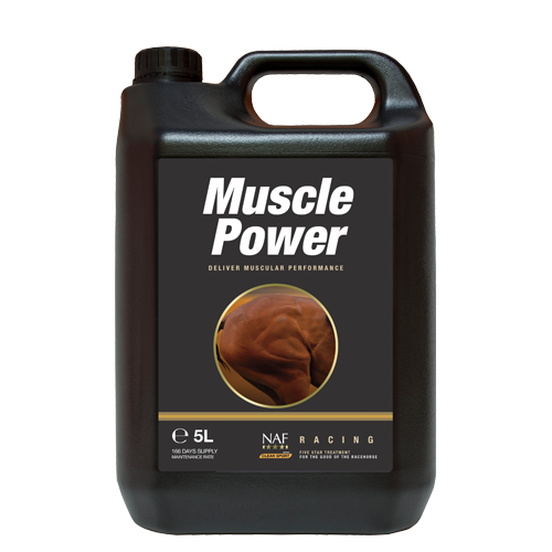 Muscle Power