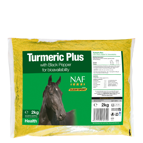 Turmeric Plus