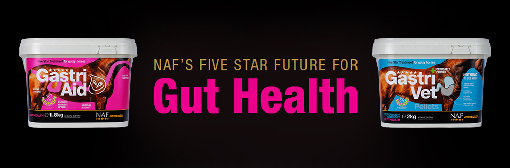 Protecting your horse?s gut health is essential