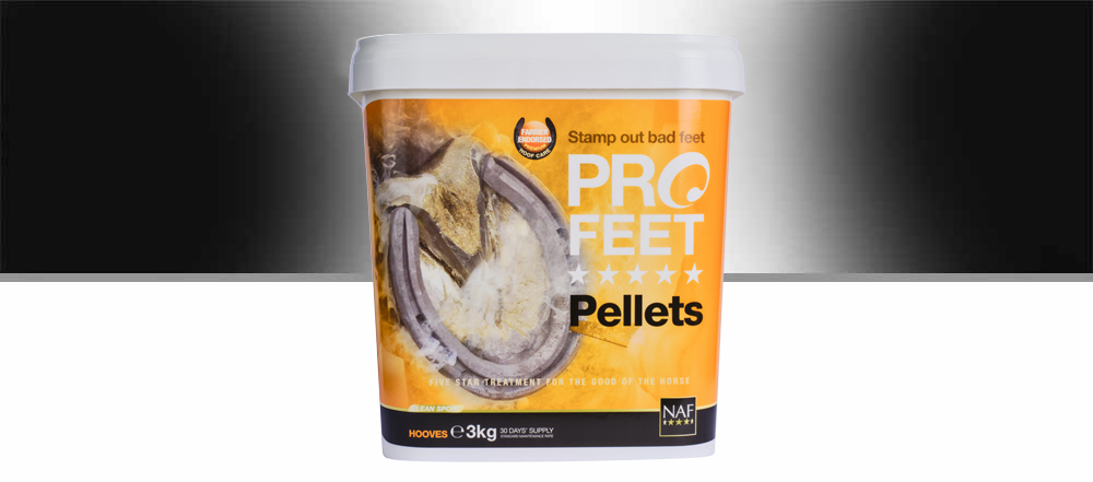 PROFEET