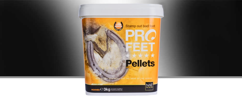 PROFEET