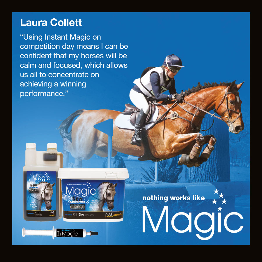 Laura Collectt - Magic