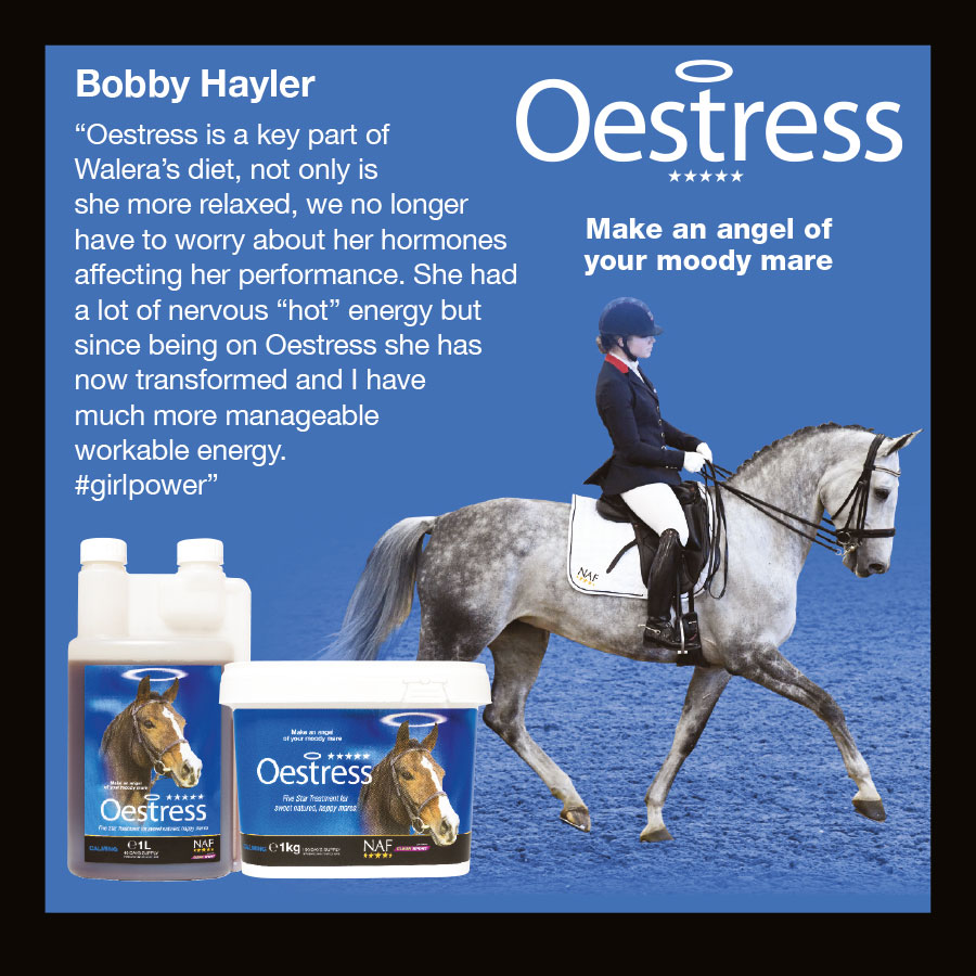 Bobby Hayler - Oestress