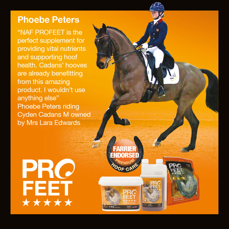 Phoebe Peters - PROFEET