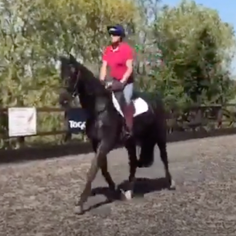 Johnathan Bowman - Schooling Sessions