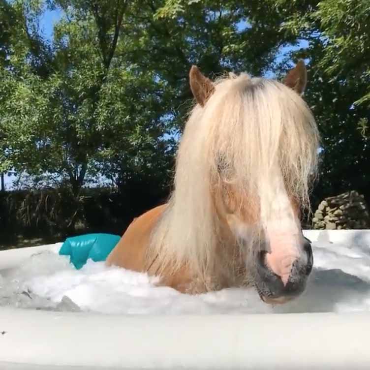 Spa Day