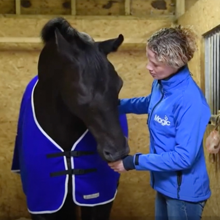 NAF Spotlight - Jo Whittle and Valentino
