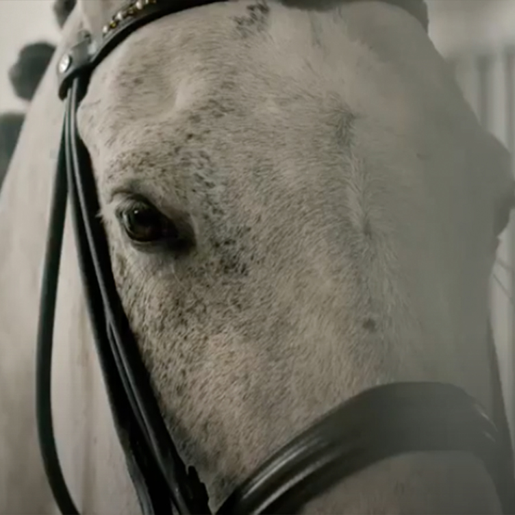 Equestrian Team GBR - Team Broome
